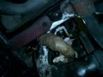 Photo Number 14