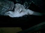 Photo Number 15